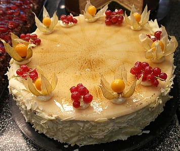 round white icing-covered cake thumbnail