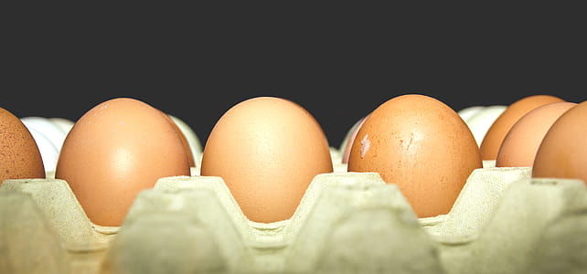 Fresh eggs thumbnail