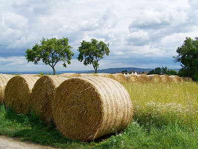 Straw Bales, Potential Gabonaszár thumbnail