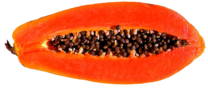 Papaya fruit thumbnail