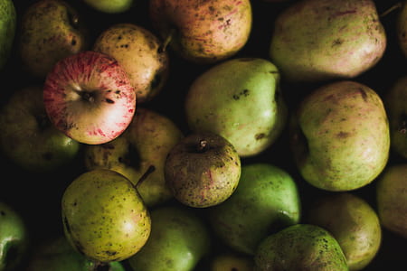 green fruit lot thumbnail