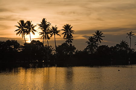 photo of body of water and coconut trees during sunset thumbnail