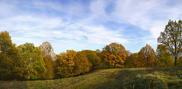green trees under blue sky thumbnail
