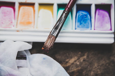 focus photo of paint brush thumbnail