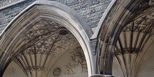 architectural photography of building ceiling thumbnail