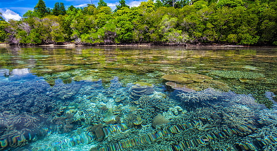 calm body of water during daytime thumbnail