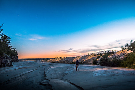 person standing surrounded by trees under blue and white sky thumbnail