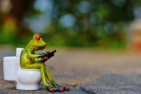 green frog image thumbnail