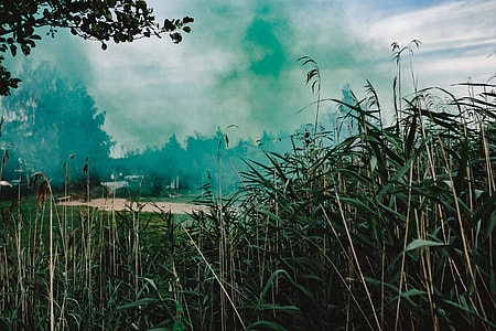 Green smoke bomb thumbnail