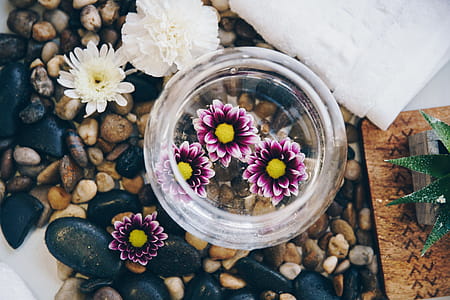 Flowers In Water On Pebbles Photo thumbnail