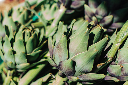 Artichoke close up thumbnail