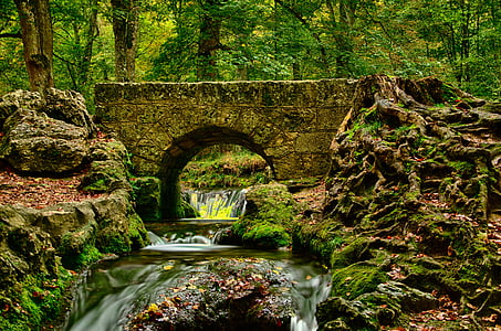 timelaps photograph of river flowing under concrete bridge surrounded by green leaf trees thumbnail