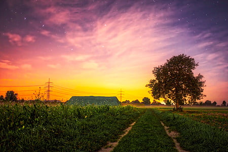 photography of farm thumbnail