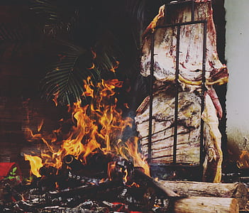 burning firewood near palm tree thumbnail