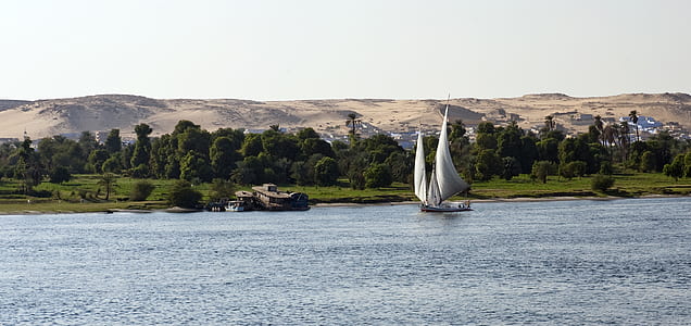 white sail boat near shore thumbnail