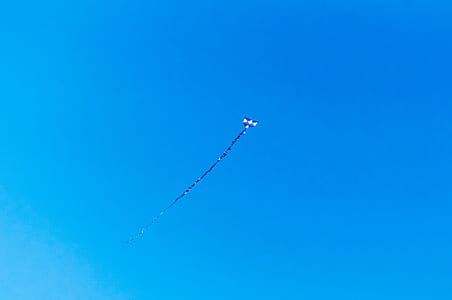 photo of blue and white kite thumbnail