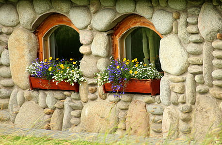 purple and yellow petaled flowers on window thumbnail