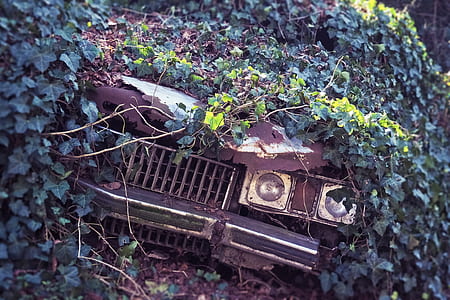 classic brown car thumbnail