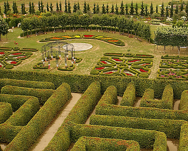 birds eye photography of maze garden thumbnail
