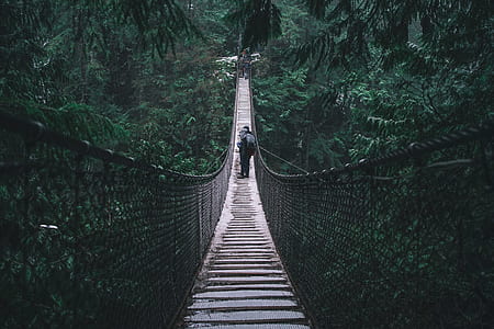 man walking on hanging bridge thumbnail