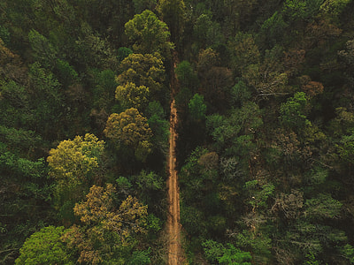 high angle view of pathway thumbnail