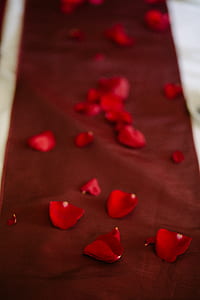 red flower petals thumbnail
