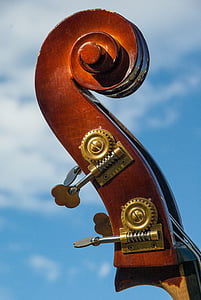 cello headstock thumbnail