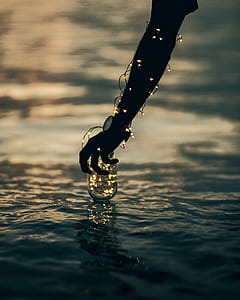 light, hand, water, jar thumbnail