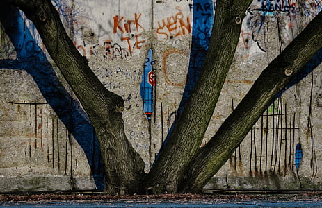 close-up photo of tree mural on wall thumbnail