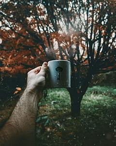 selective focus photography of person holding white ceramic mug thumbnail