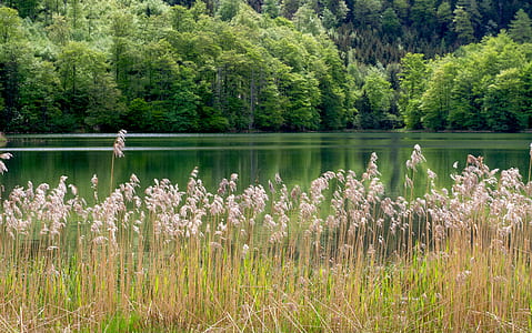body lake during daytime thumbnail