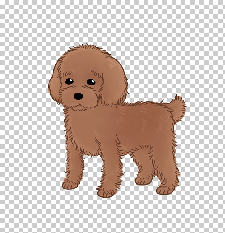 231 Schnoodle Png Cliparts For Free Download Uihere