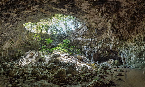 Cave Near Trees thumbnail