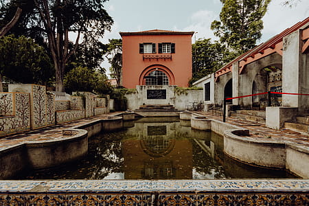 Tropical Botanical Garden in Belem, Lisbon, Portugal thumbnail