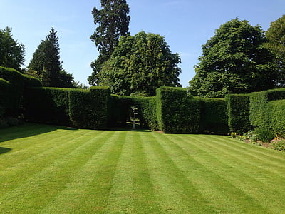 mowed grass lawn thumbnail