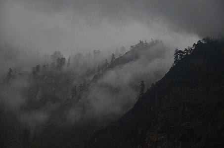 silhouette photo of trees and hills during fog thumbnail