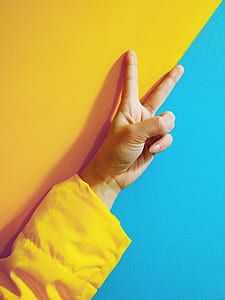 yellow sleeve thumbnail