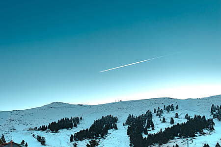 green trees and snow capped field under blue sky during daytime thumbnail
