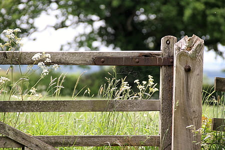 shallow focus photography of brown wooden gate thumbnail