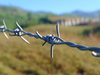 bokeh photography of barbwire thumbnail