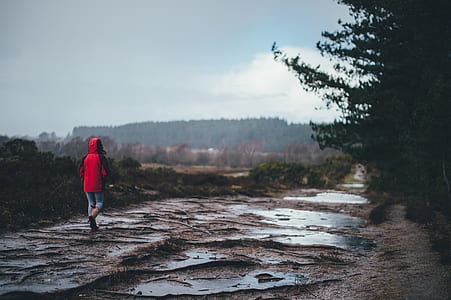 person walking on mud beside trees thumbnail