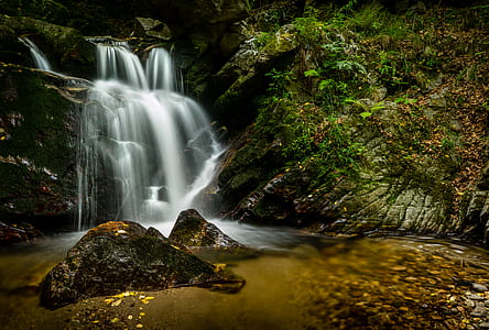 photography of waterfalls surrounded of trees at daytime thumbnail