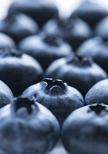 blackberries selective focus photography thumbnail