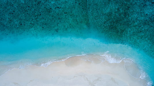 ocean, coastline, coast, shore thumbnail