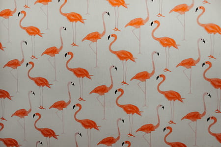 Flamingo Decal thumbnail