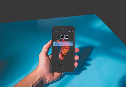 person holding space gray iPhone 6s thumbnail
