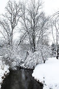 body of water beside snowfield thumbnail