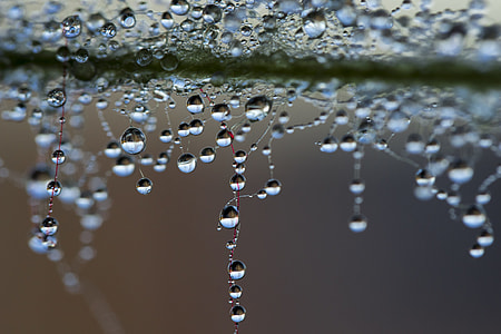 shallow focus of rain drop photography thumbnail