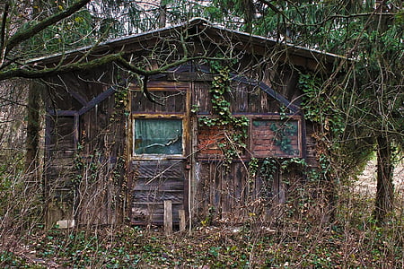 brown wooden house thumbnail