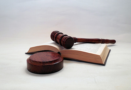 brown gavel on book thumbnail